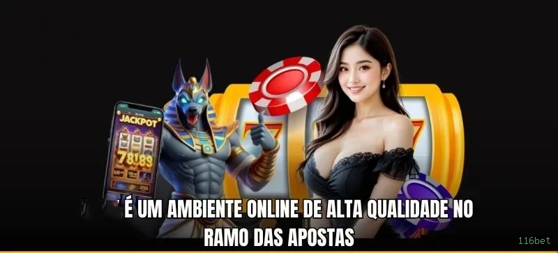 Suporte 116bet